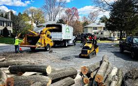 Leaf Removal in Ames, IA